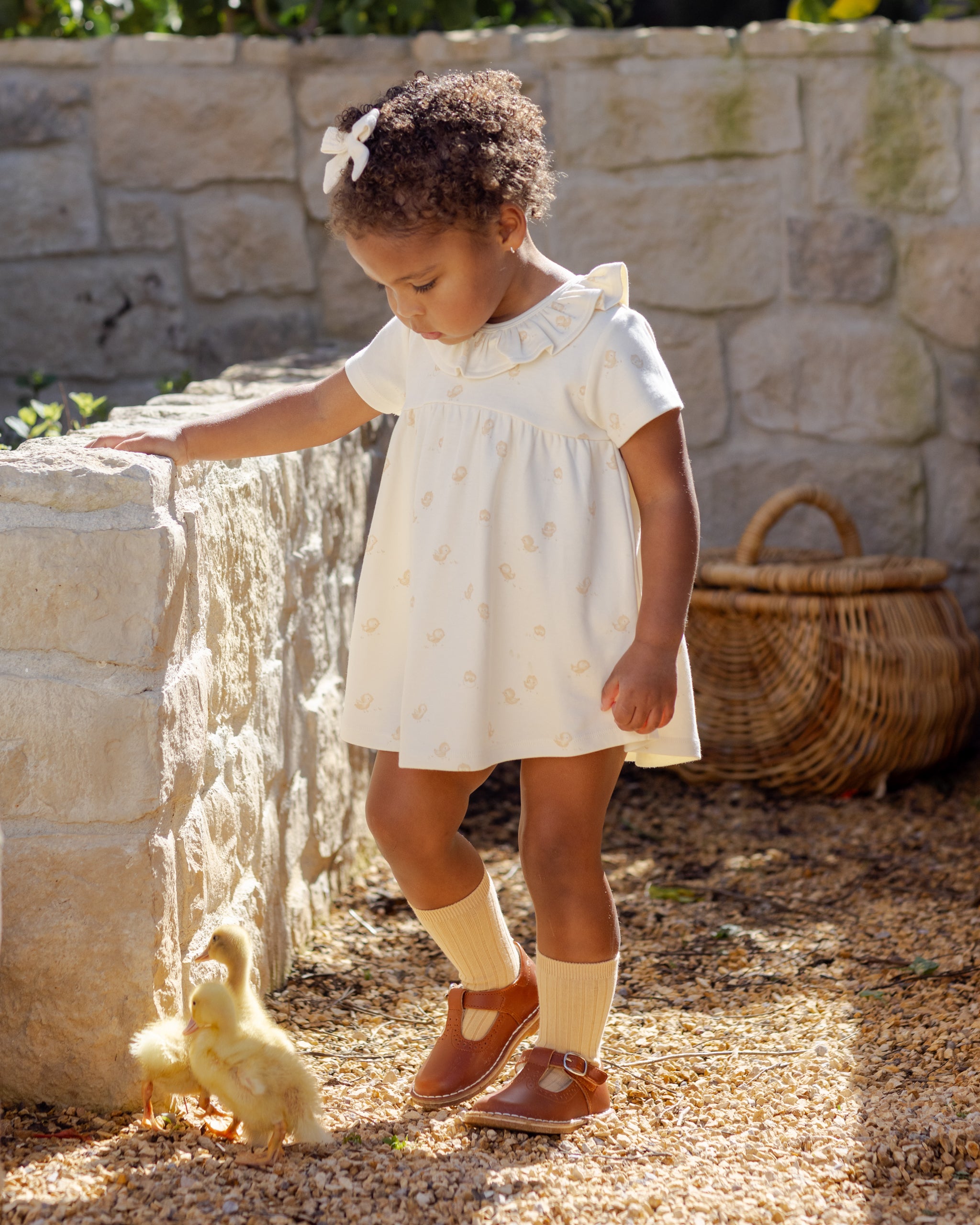 Ruffle Collar Jersey Dress Chicks