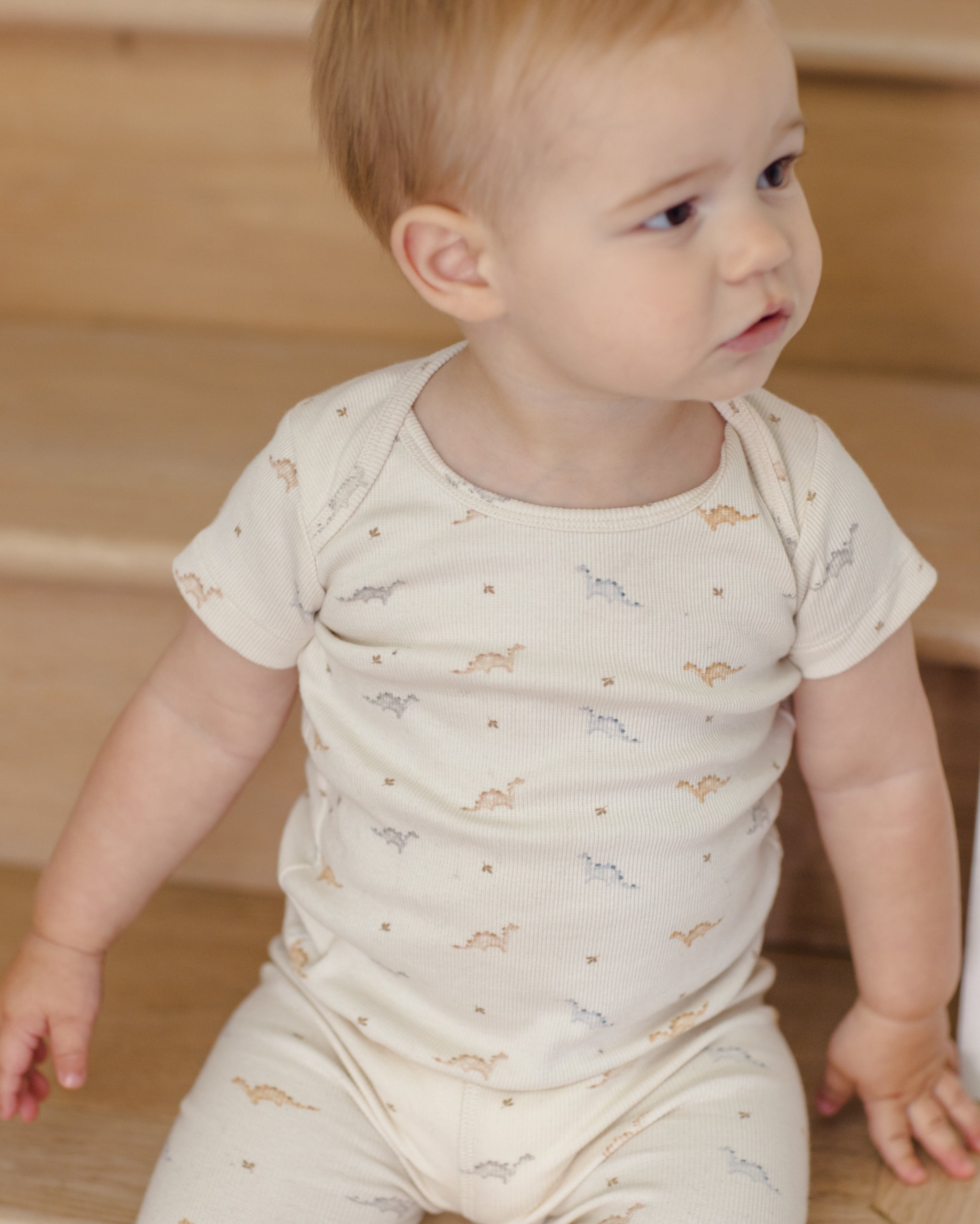 Rylee + Cru ライリーアンドクルー ベビー服 子供服 リブショートスリーブTシャツ + レギンスセット　ダイナソー