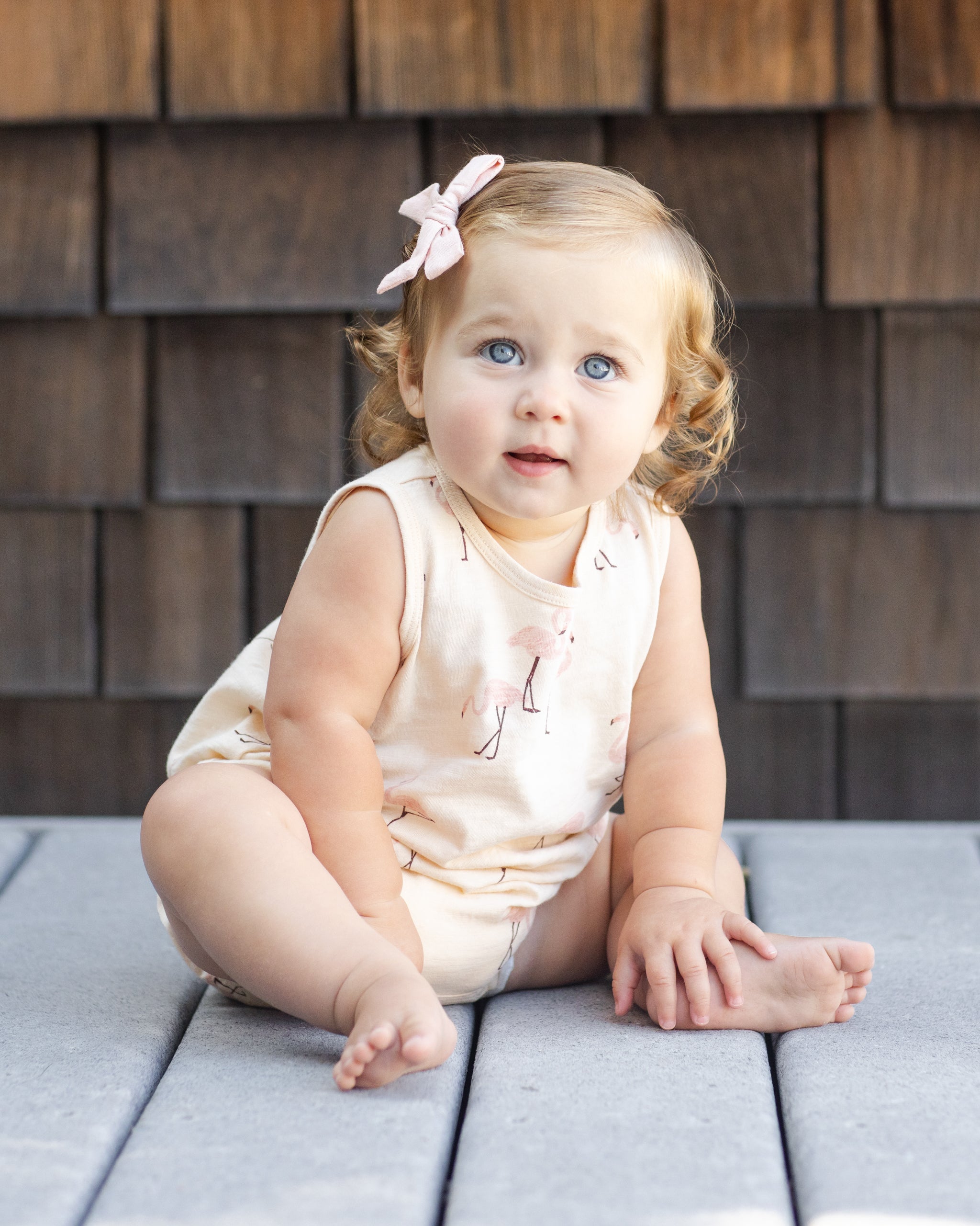 Bows, Set Of 2 Blush